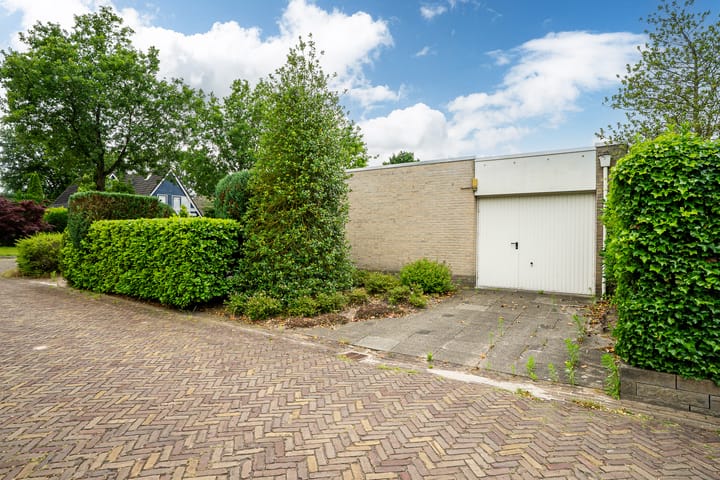 Foto 9 van Tormentil 49