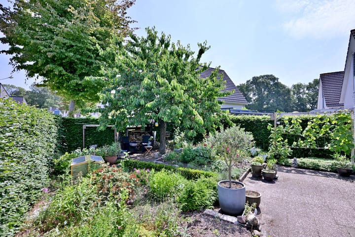 Foto 39 van Kardinaalsmuts 59