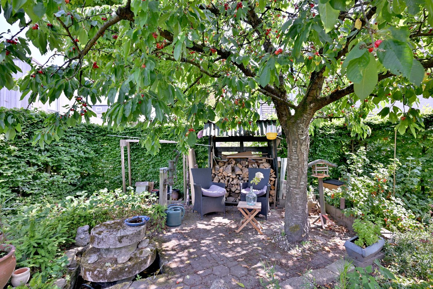 Foto 40 van Kardinaalsmuts 59