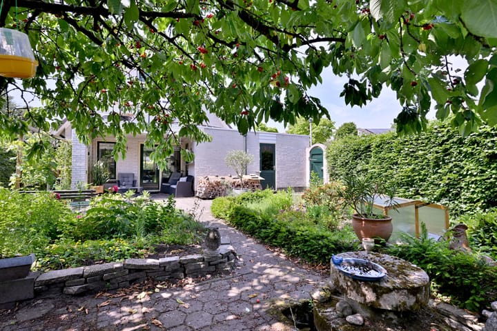 Foto 41 van Kardinaalsmuts 59