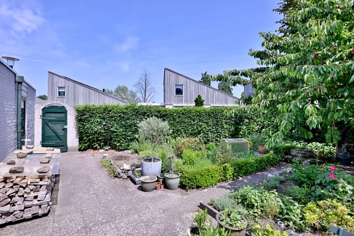 Foto 45 van Kardinaalsmuts 59