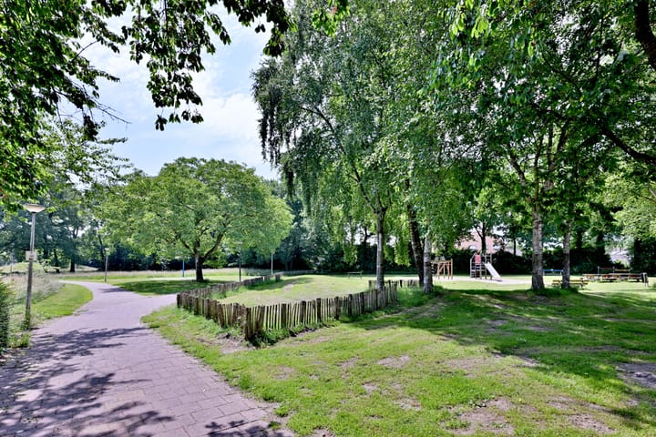 Foto 50 van Kardinaalsmuts 59