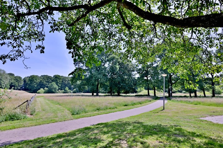 Foto 51 van Kardinaalsmuts 59