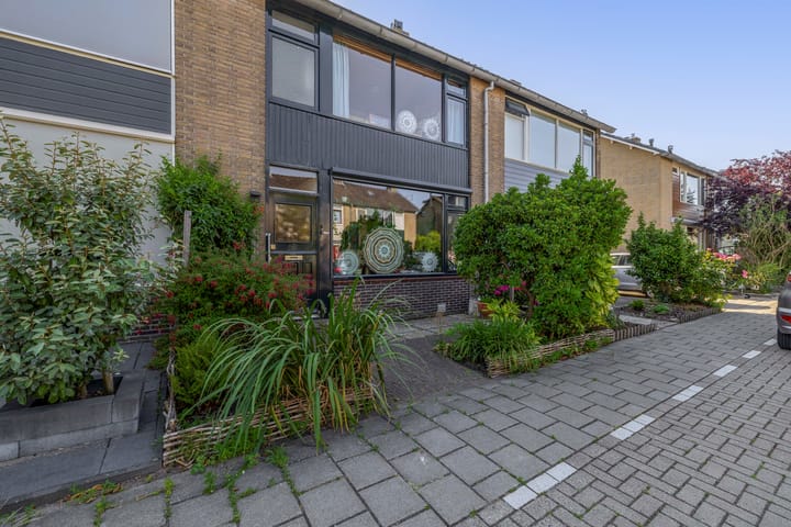 Foto 4 van Anna Paulownastraat 17