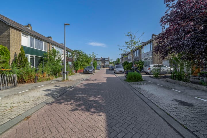 Foto 32 van Anna Paulownastraat 17