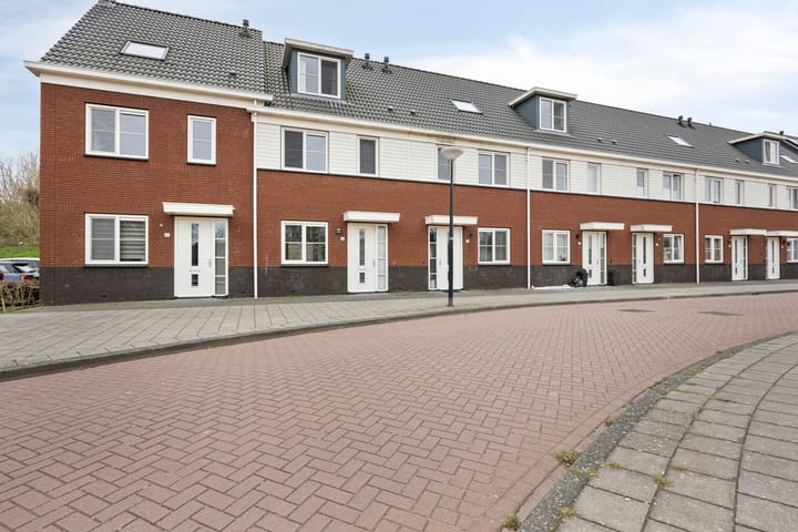 undefined main image