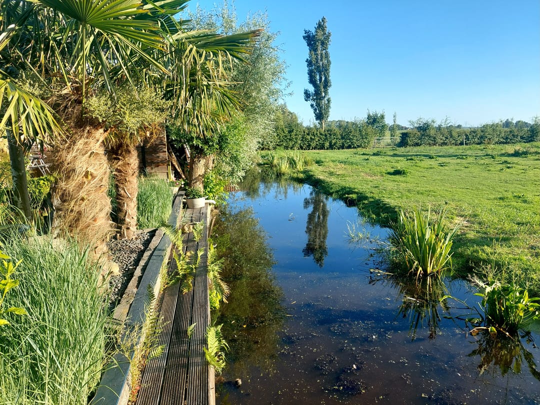 Foto 46 van Grindweg 222