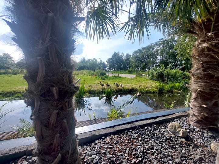 Foto 48 van Grindweg 222