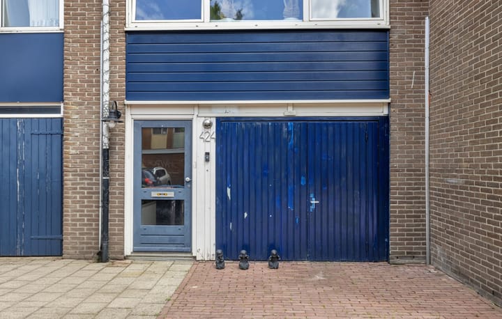 Foto 4 van Hanenberglanden 424