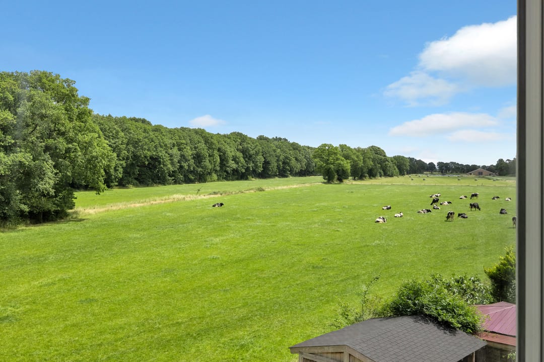 Photo 43 of Hanenberglanden 424