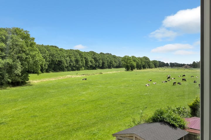 Photo 43 of Hanenberglanden 424