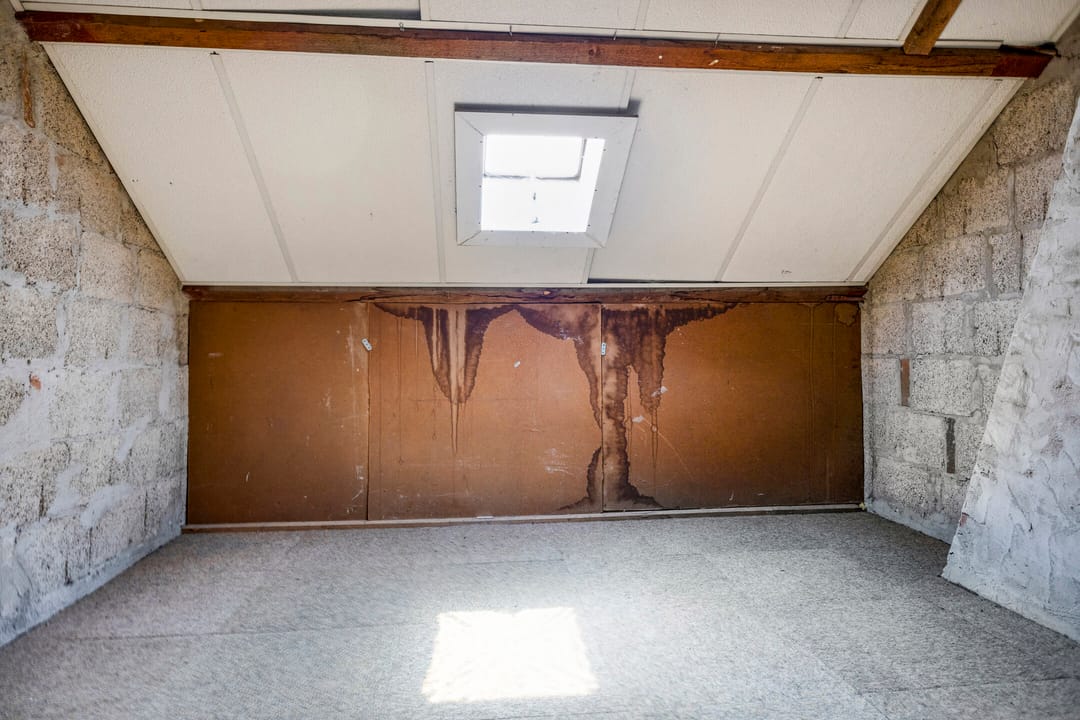 Foto 23 van Kroonruwe 7