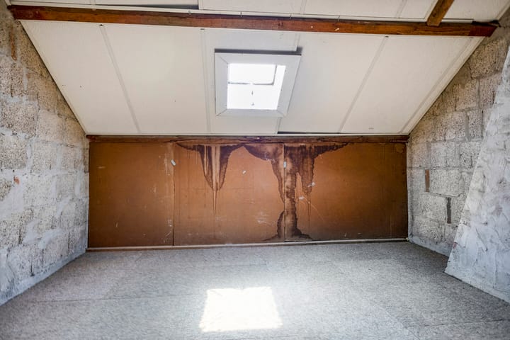 Foto 23 van Kroonruwe 7