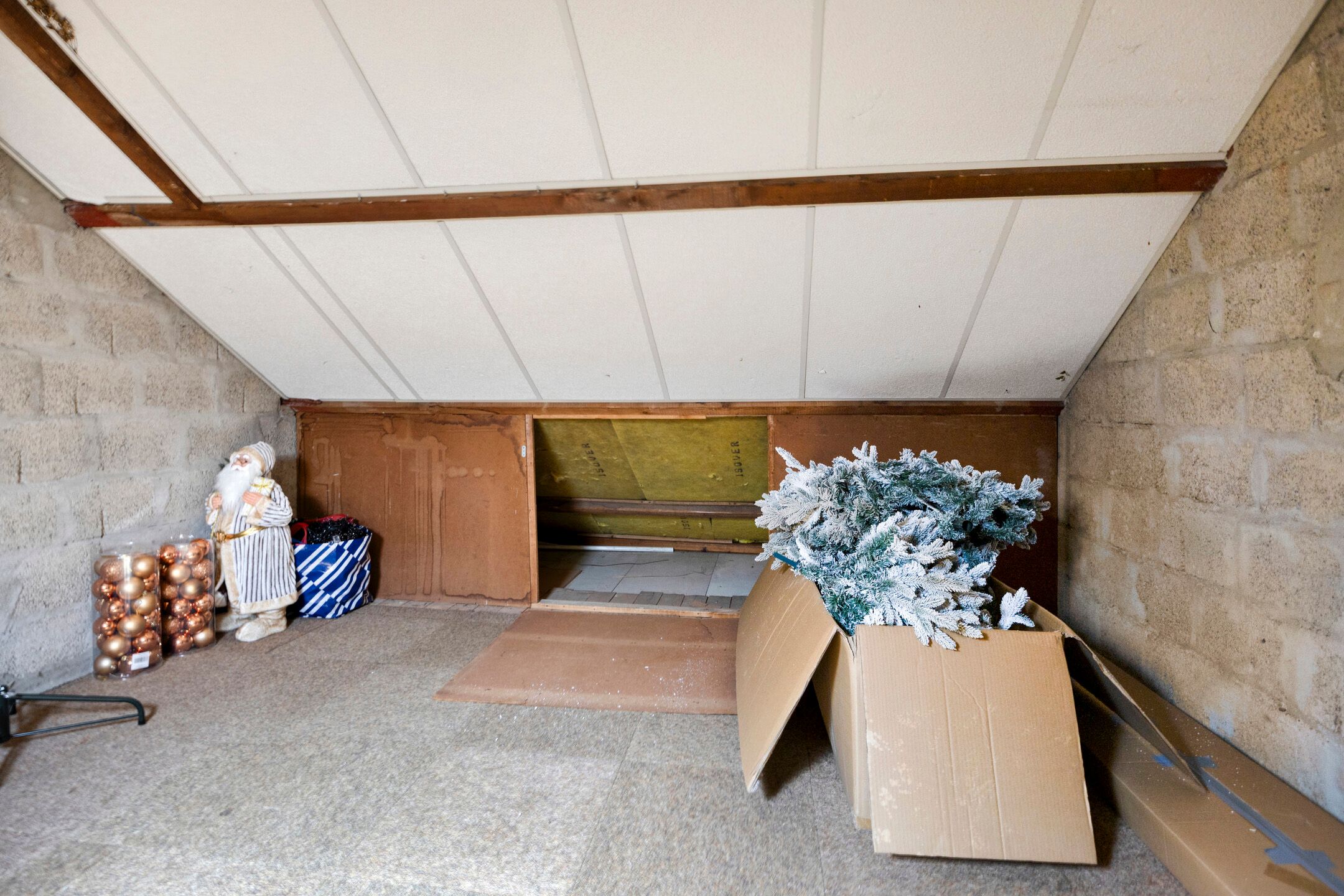 Foto 24 van Kroonruwe 7