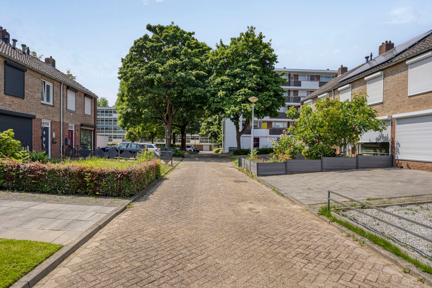 Foto 29 van Kroonruwe 7