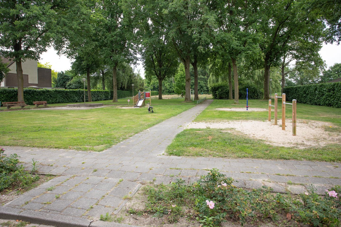 Foto 55 van De Patrijs 53