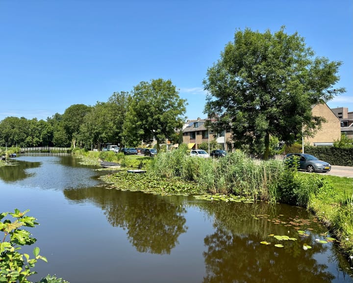 Foto 1 van Albert Meijnsstraat 16