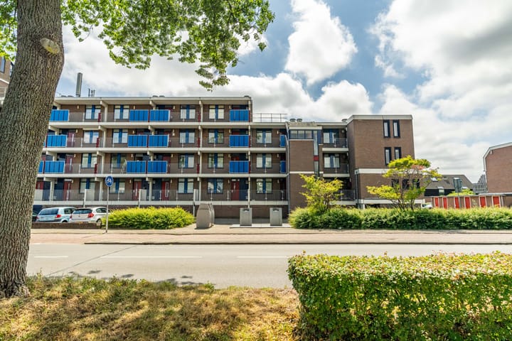 Foto 2 van Hannie Schaftrode 78