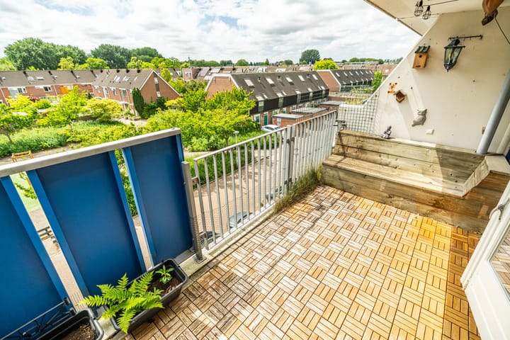 Foto 10 van Hannie Schaftrode 78