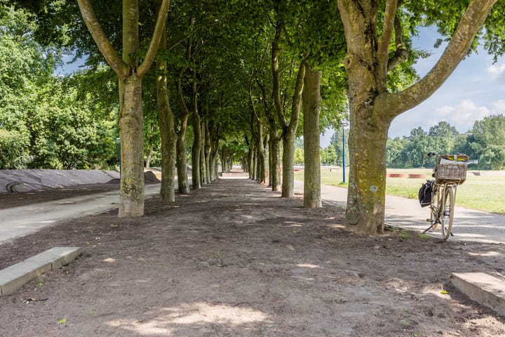 Photo 47 of Prins Bernhardlaan 49