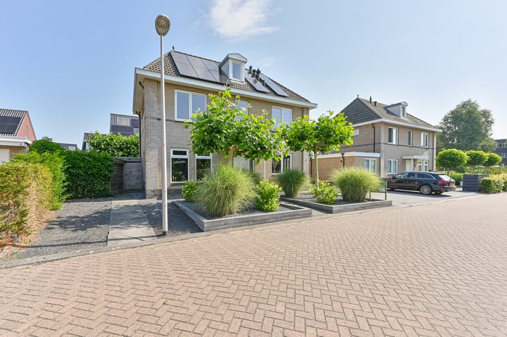 Foto 1 van Meerval 4