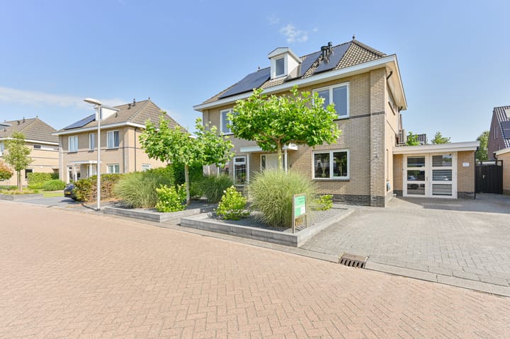 Foto 3 van Meerval 4