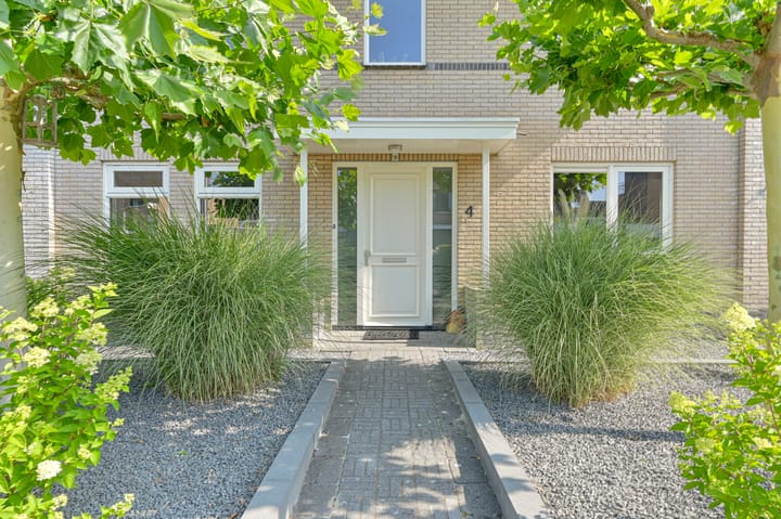 Foto 4 van Meerval 4