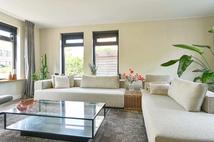 Foto 13 van Meerval 4