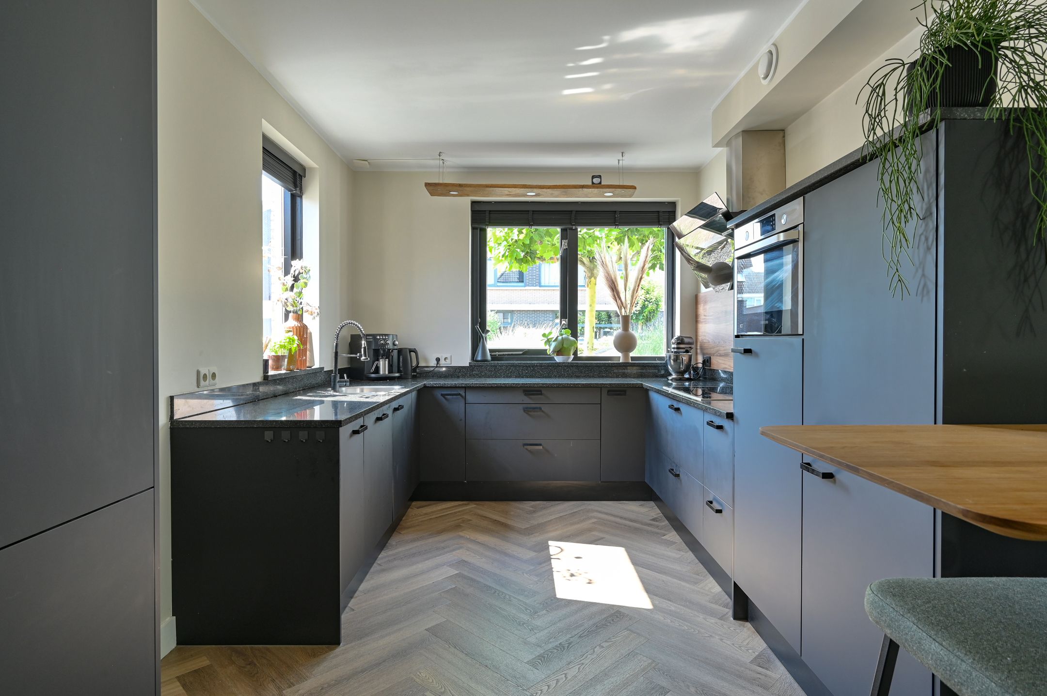 Foto 30 van Meerval 4