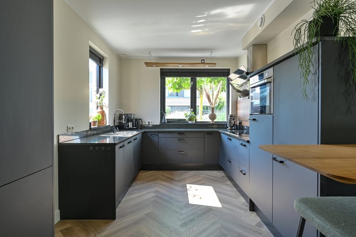 Foto 30 van Meerval 4