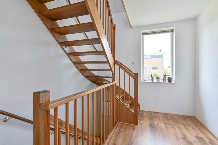 Foto 44 van Meerval 4