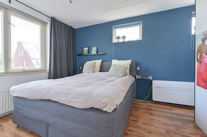 Foto 47 van Meerval 4