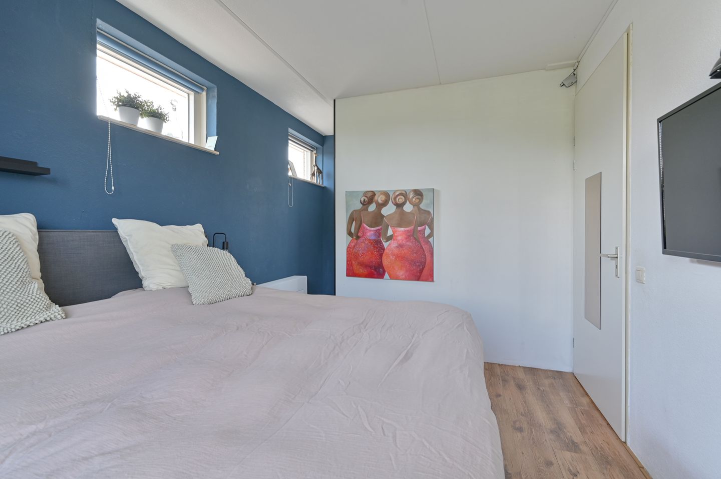 Foto 49 van Meerval 4