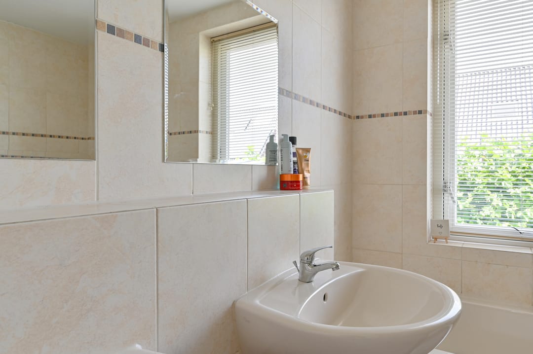 Foto 56 van Meerval 4