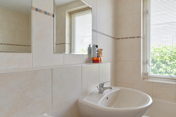 Foto 56 van Meerval 4