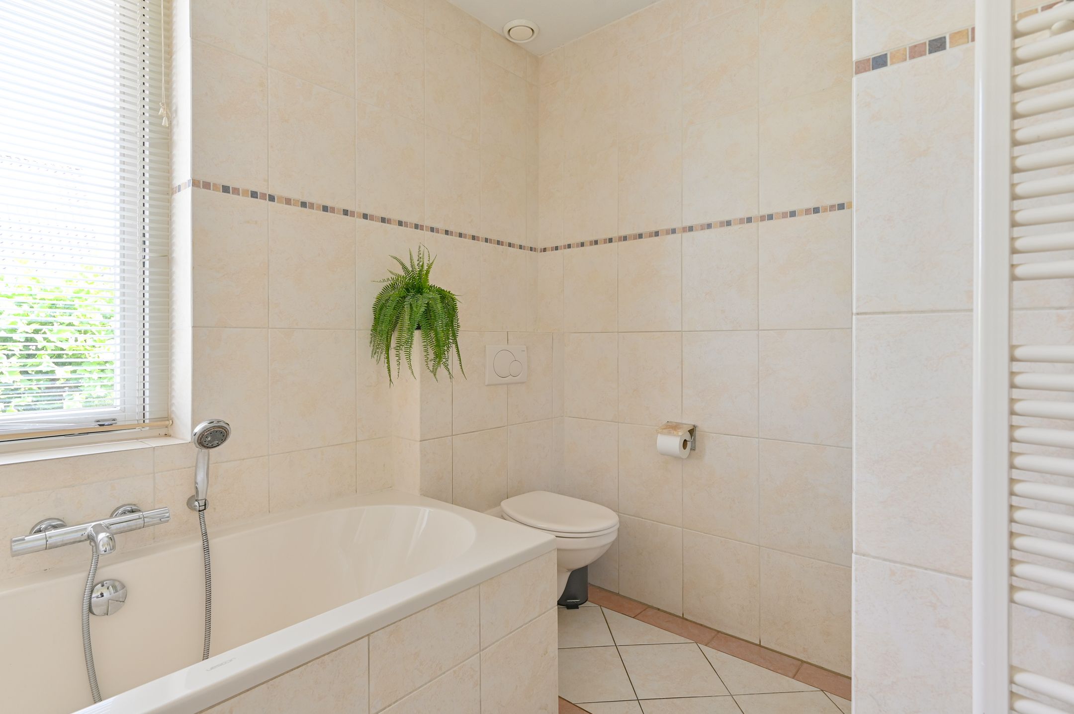 Foto 57 van Meerval 4