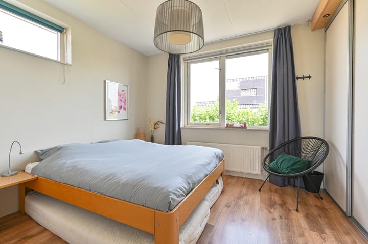 Foto 62 van Meerval 4