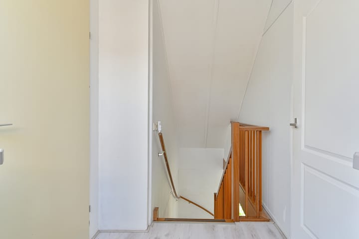 Foto 68 van Meerval 4