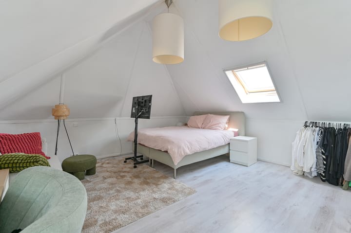 Foto 70 van Meerval 4