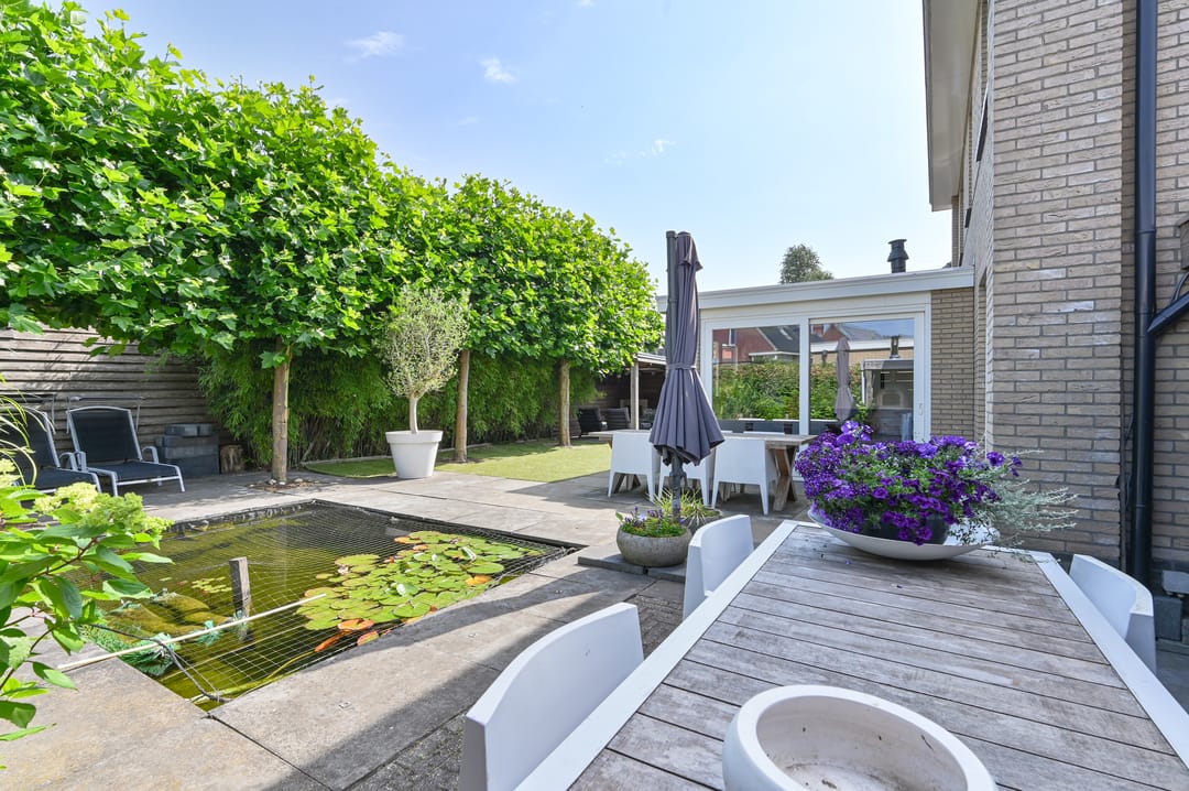 Foto 77 van Meerval 4