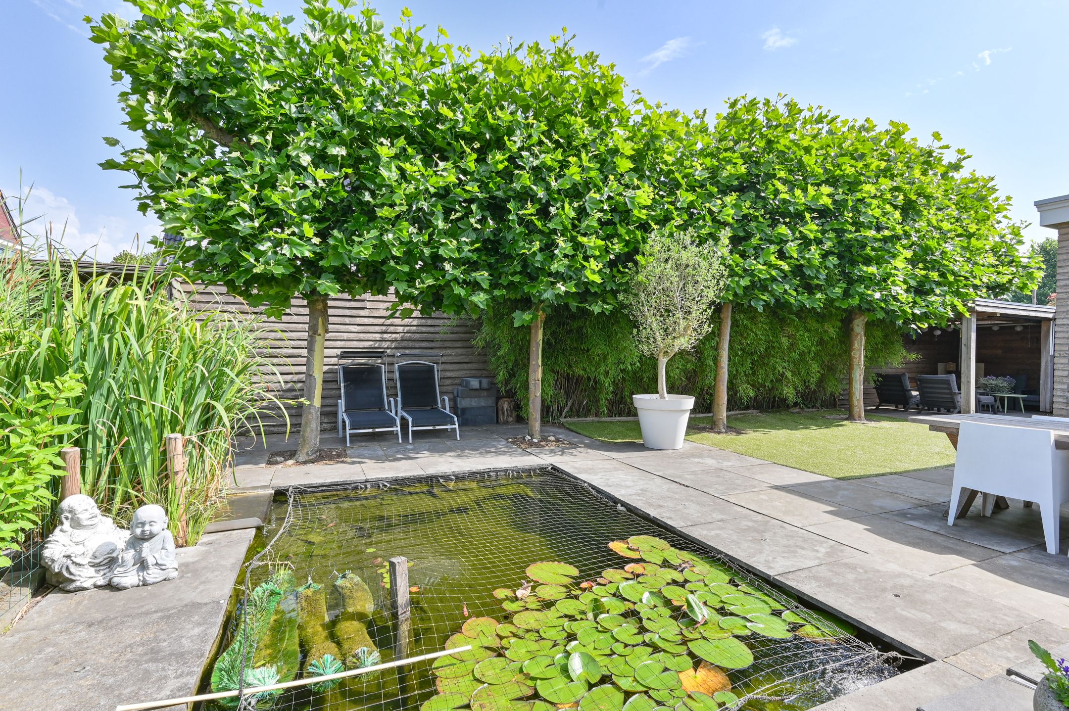 Foto 78 van Meerval 4