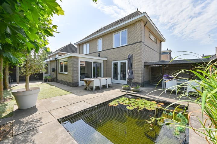 Foto 81 van Meerval 4