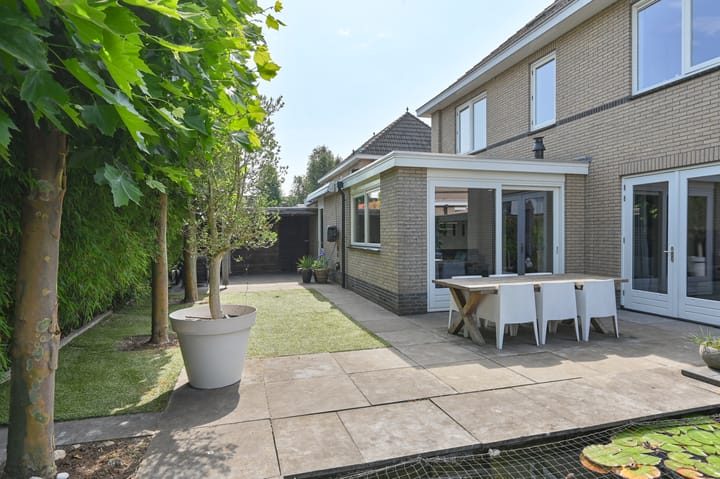 Foto 82 van Meerval 4