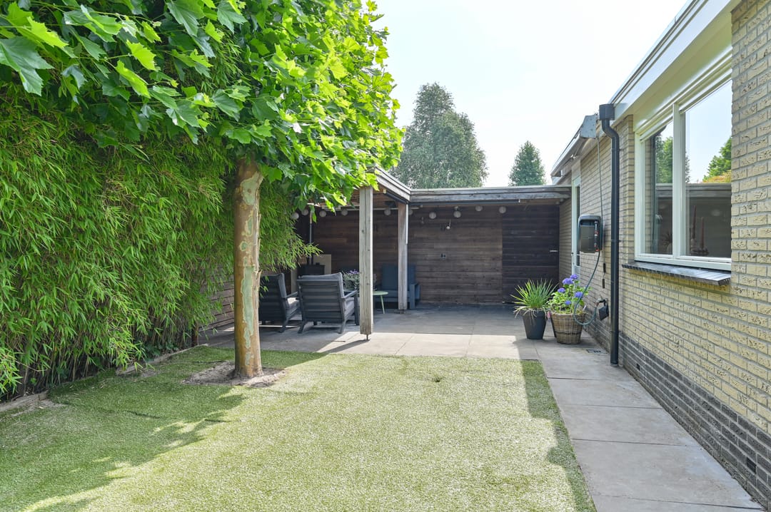 Foto 83 van Meerval 4