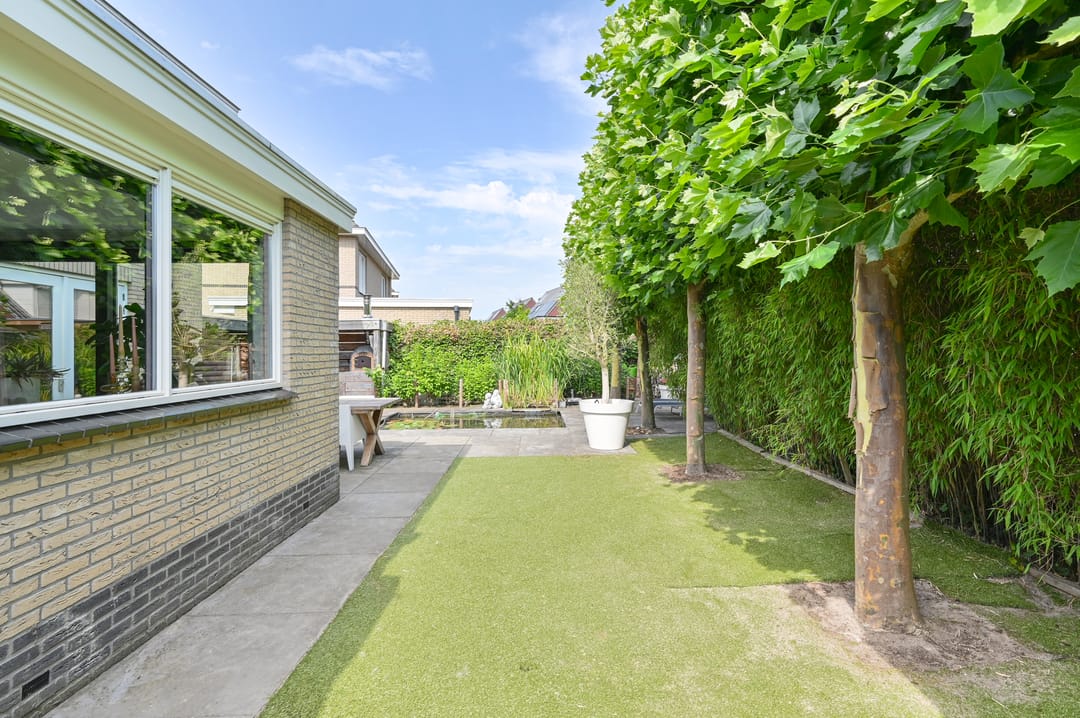 Foto 88 van Meerval 4