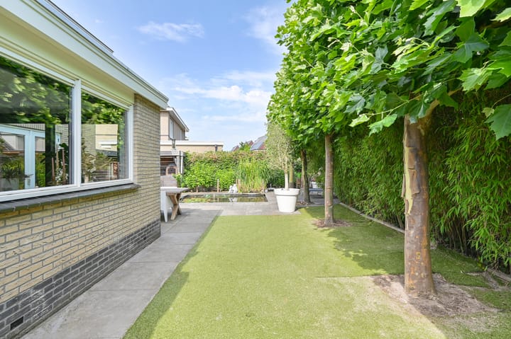 Foto 88 van Meerval 4