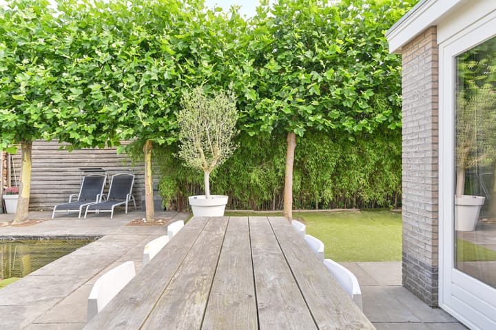 Foto 90 van Meerval 4