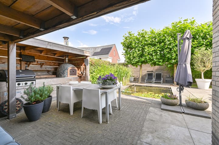 Foto 91 van Meerval 4