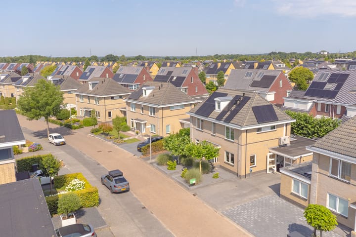 Foto 95 van Meerval 4