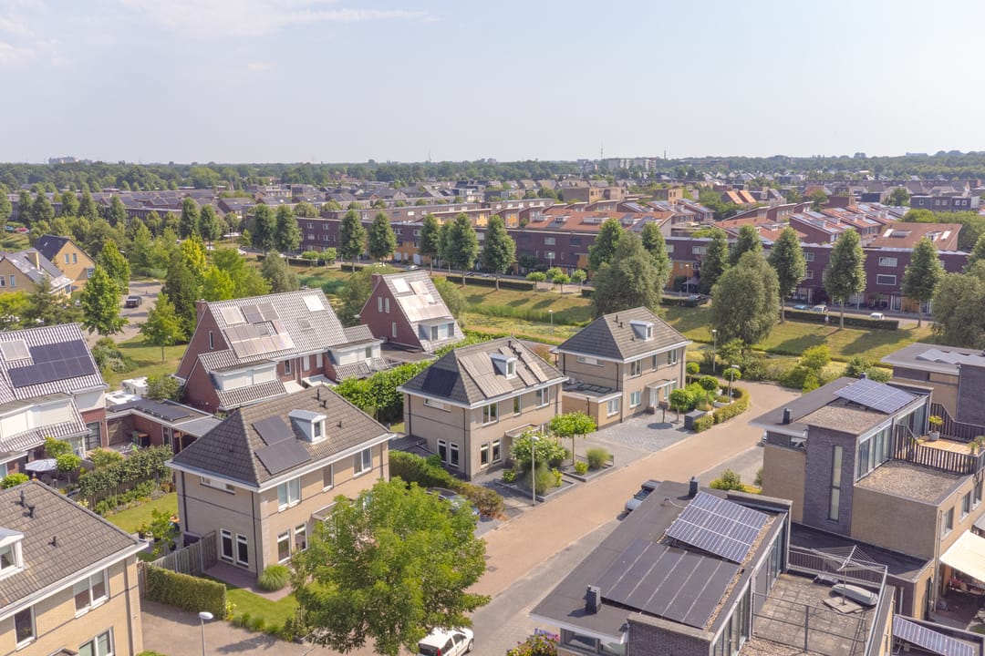 Foto 98 van Meerval 4